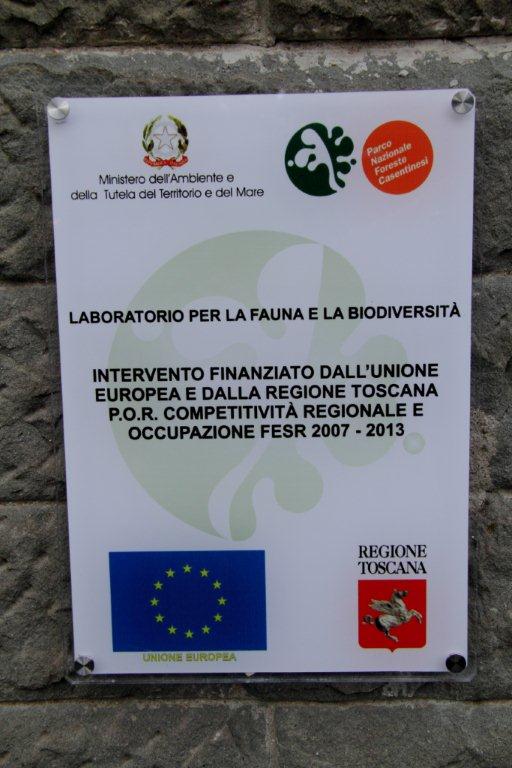 Quale specie di pipistrello?